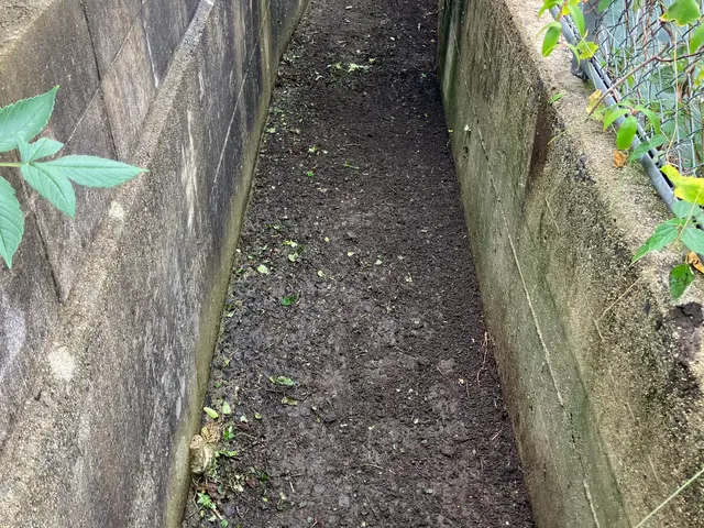 側溝掃除隊！サービスの画像