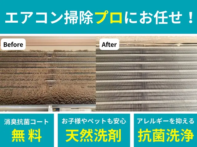 ★咳や鼻水でお困りの方へ★アレルギーを抑える天然洗剤2回洗浄★抗菌コート無料★サービスの画像