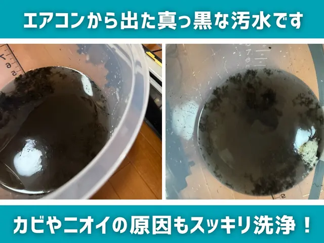 ★咳や鼻水でお困りの方へ★アレルギーを抑える天然洗剤2回洗浄★抗菌コート無料★サービスの画像