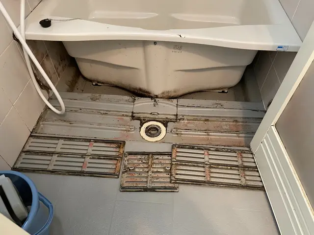 【年始特価】激安価格で徹底清掃！サービスの画像