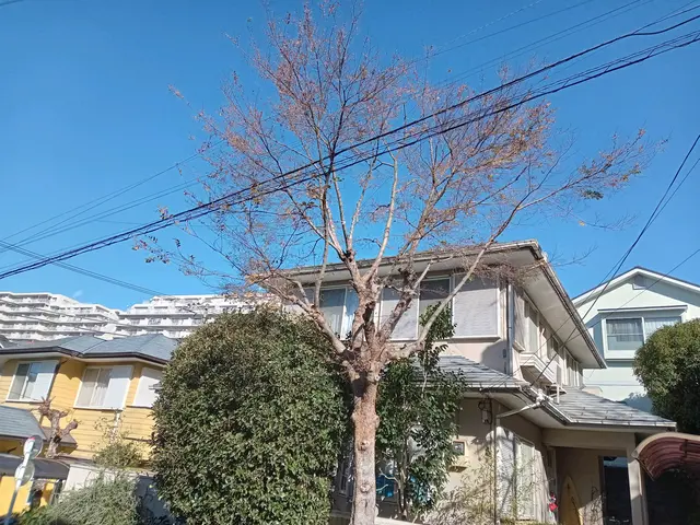 ◎お客様のご要望をお聞かせ下さい！ご要望にお答え出来る様に作業させて頂きます！サービスの画像