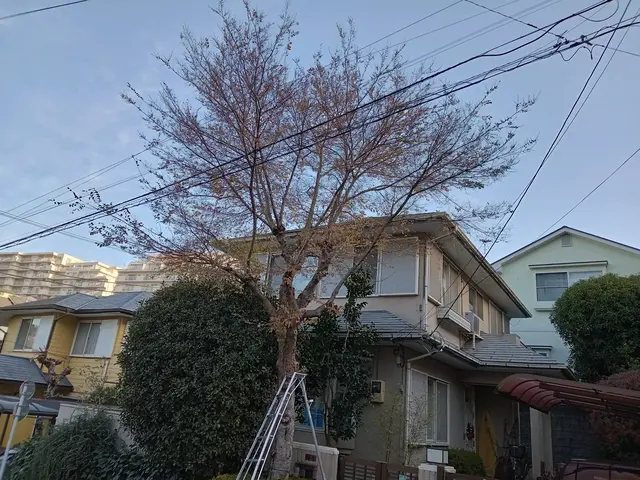 ◎お客様のご要望をお聞かせ下さい！ご要望にお答え出来る様に作業させて頂きます！サービスの画像