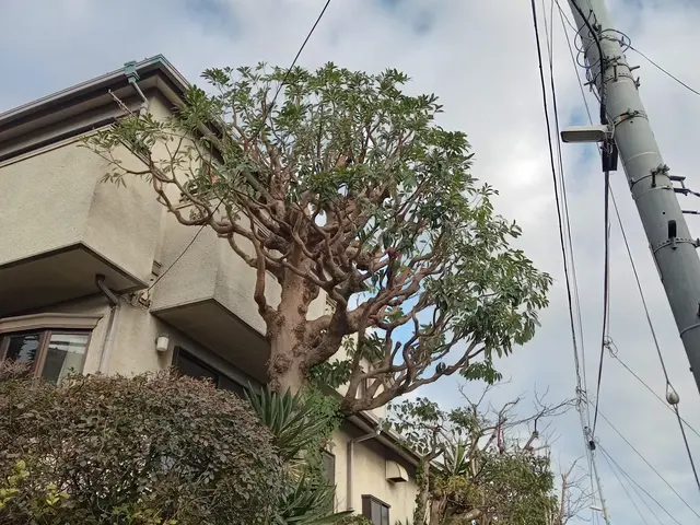 ◎写真でのお見積り可能！作業代はゴミ処分代込みです！当日の追加作業もご相談下さいサービスの画像