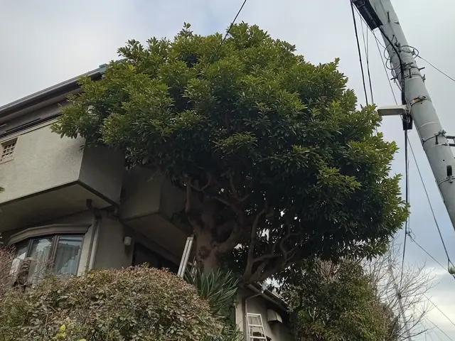 ◎写真でのお見積り可能！作業代はゴミ処分代込みです！当日の追加作業もご相談下さいサービスの画像