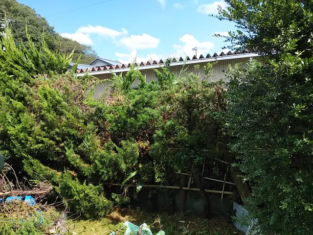 ◇庭木の剪定専門業者◇拘りの完全自社施工◇素敵なお庭作りサポートサービスの画像