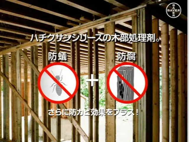 シロアリ予防や駆除も★プロの技術で完全施行★5年保証付★施工写真★ペイペイOK！サービスの画像