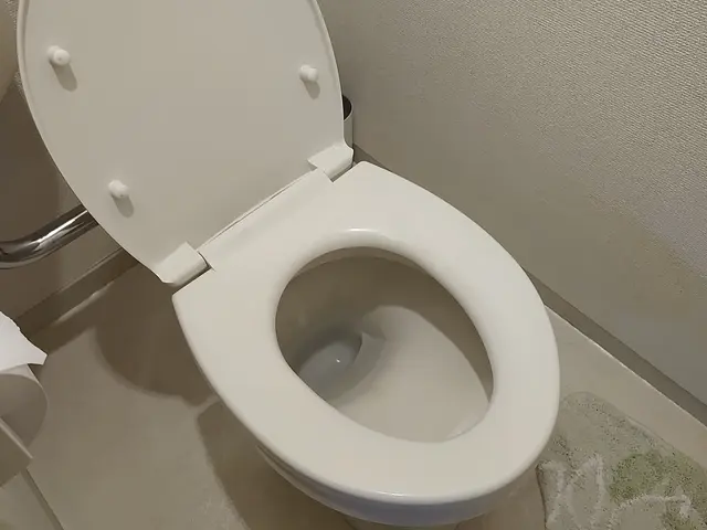 既設温水便座(ウォシュレット)取り外し→現状復帰！承ります 簡易清掃無料実施！サービスの画像