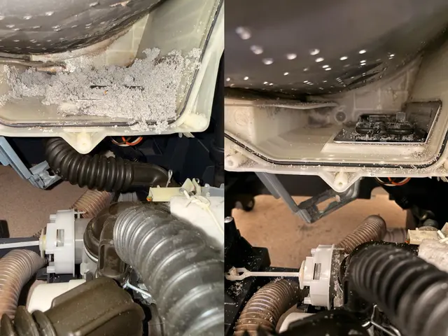 【完全分解】洗濯機クリーニング｜臭い・カビ徹底除去サービスの画像