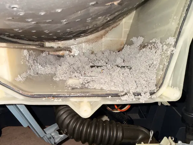 【クリーニング協会認定】ドラム式洗濯機分解洗浄クリーニングサービスの画像