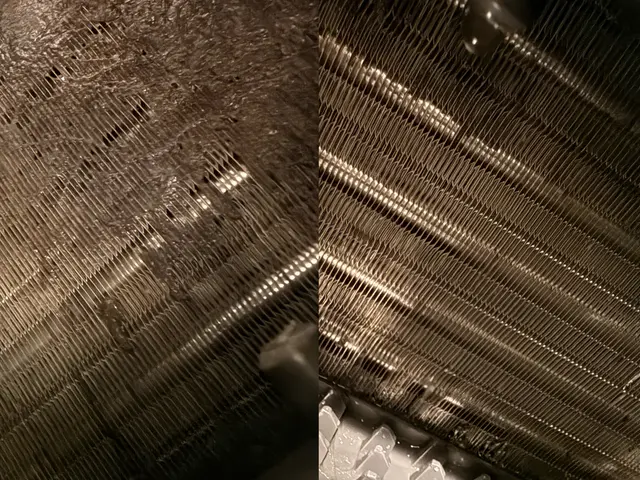 【完全分解】洗濯機クリーニング｜臭い・カビ徹底除去サービスの画像