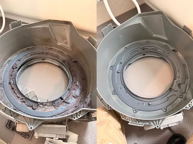 【完全分解】洗濯機クリーニング｜臭い・カビ徹底除去サービスの画像