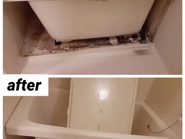 ★業歴10年以上★駐車代お店負担★安心の損害保険加入★女性スタッフ同行可能サービスの画像