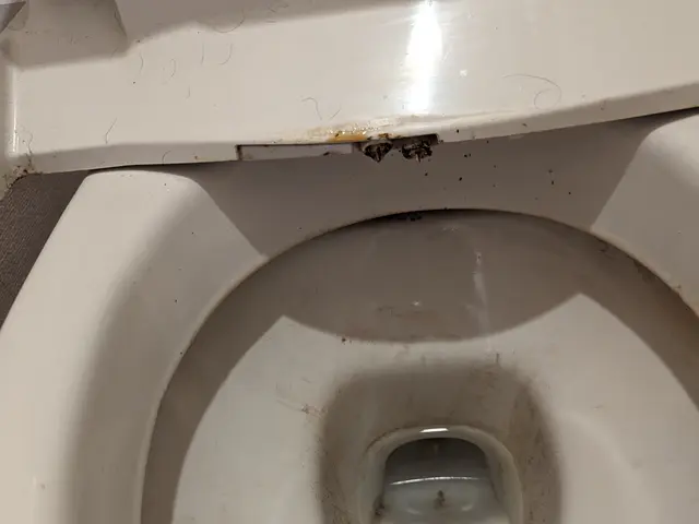 毎日使うから毎日磨きたい！でも手で触るのは…面倒な作業は私達にお任せください！！サービスの画像