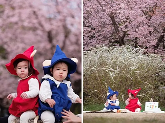 ◆追加枠【限定３組】家族・成人式・入学卒業｜４月予約分・早割キャンペー！