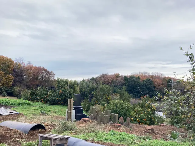 ★町田市発★ 相模原・町田エリアの伐採作業【お写真での見積りも可】サービスの画像