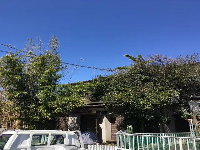 ★町田市発★ 相模原・町田エリアの伐採作業【お写真での見積りも可】サービスの画像