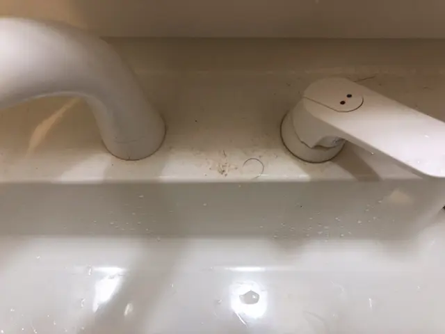 洗面所全体洗浄【フッ素コートサービス】【防汚】【水垢除去】【業界歴20年】サービスの画像