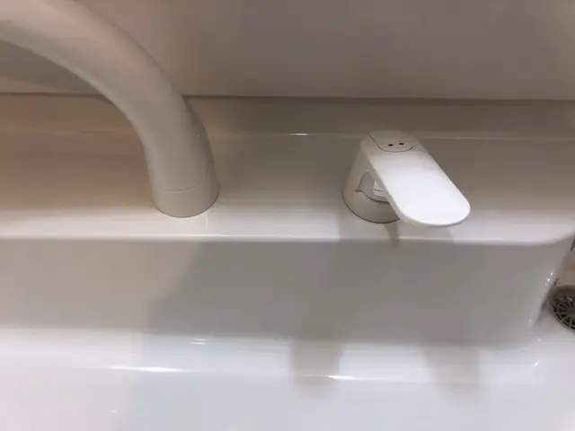 洗面所全体洗浄【フッ素コートサービス】【防汚】【水垢除去】【業界歴20年】サービスの画像