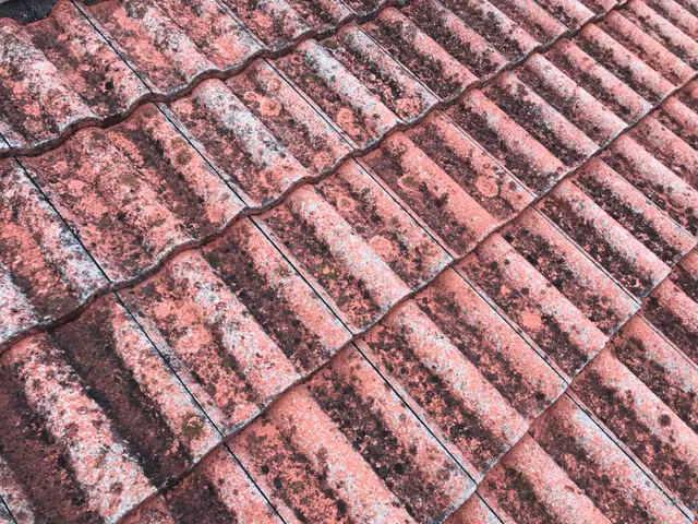 セメント瓦塗装だけで無く、カラーベスト屋根もちろん施工可能！屋根カバー工法も可能サービスの画像