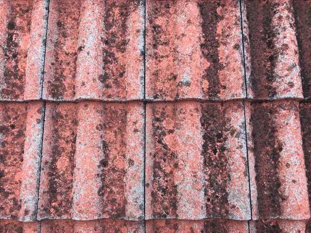 セメント瓦塗装だけで無く、カラーベスト屋根もちろん施工可能！屋根カバー工法も可能サービスの画像