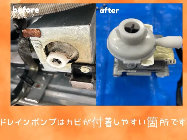 綺麗好きな性格で、カビ/汚れを見逃すことが出来ないクリーニング　業務用も可能サービスの画像