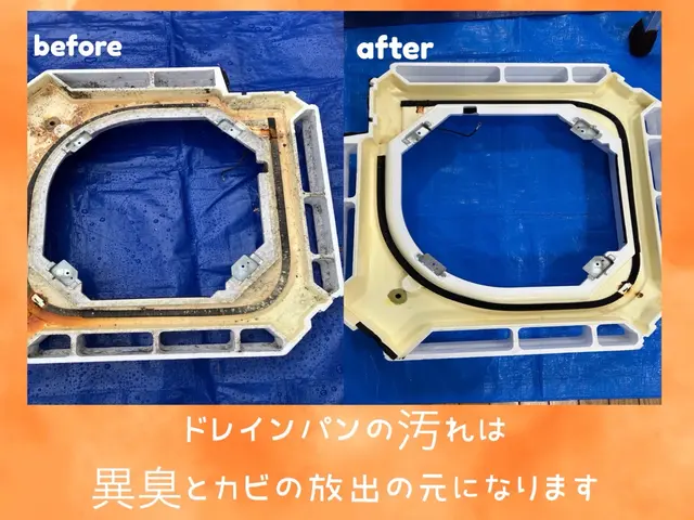 綺麗好きな性格で、カビ/汚れを見逃すことが出来ないクリーニング　業務用も可能サービスの画像