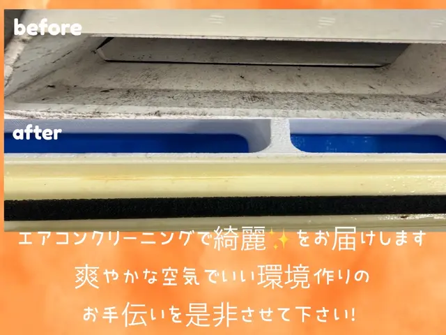 綺麗好きな性格で、カビ/汚れを見逃すことが出来ないクリーニング　業務用も可能サービスの画像