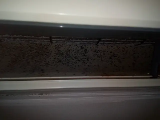 3度洗い基本です。こだわりの洗剤で汚れ落ちが違います。Ｐ代不要PayPay可ですサービスの画像