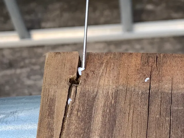 【業歴20年の経験と実績】駐車代お店負担◎迅速ていねいに仕上げます！サービスの画像