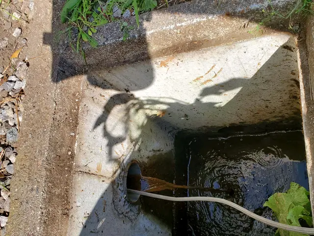 栃木県佐野市発◎100%自社対応◎損害保険加入済◎営業時間外もご相談歓迎！サービスの画像