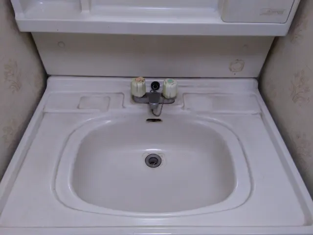 あの【がっちりマンデー！！】で紹介された、急成長のFC「おそうじ革命」です！サービスの画像