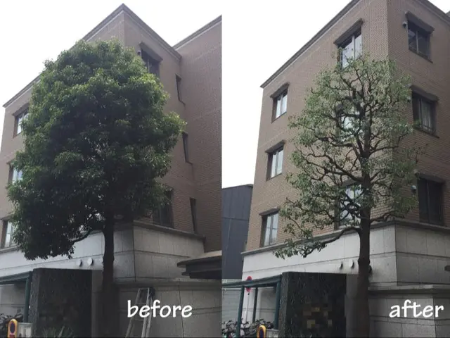 【2年連続金賞】『刈り込まない！』伸びても美しい自然樹形の技術と丁寧なヒアリングサービスの画像