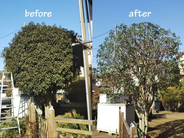 【2年連続金賞】『刈り込まない！』伸びても美しい自然樹形の技術と丁寧なヒアリングサービスの画像