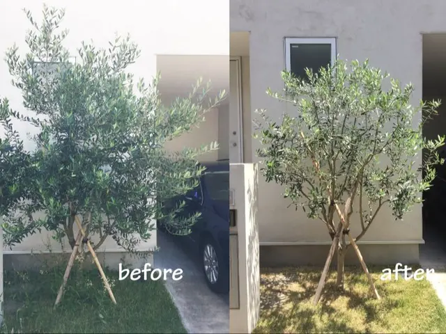 【2年連続金賞】『刈り込まない！』伸びても美しい自然樹形の技術と丁寧なヒアリングサービスの画像