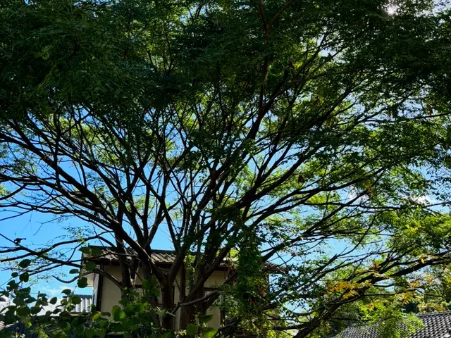 プロの技術でご満足いただけるように心を込めて作業いたしますサービスの画像