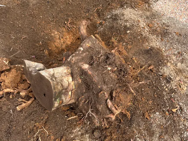 プロの技術でご満足いただけるように心を込めて作業いたしますサービスの画像