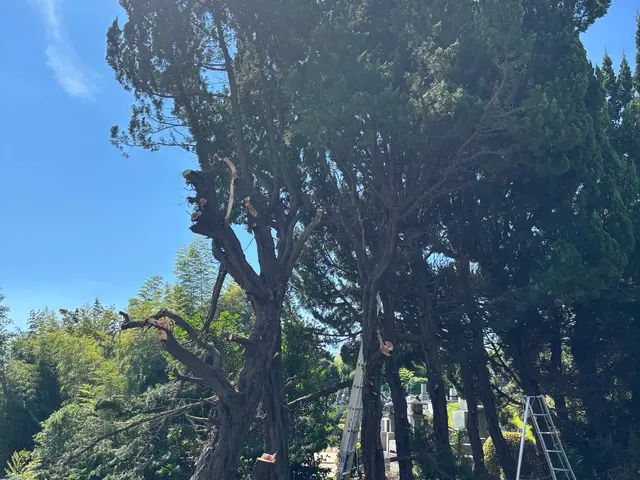 プロの技術でご満足いただけるように心を込めて作業いたしますサービスの画像