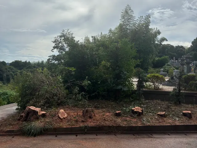 プロの技術でご満足いただけるように心を込めて作業いたしますサービスの画像