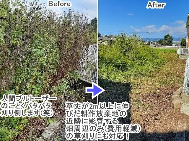 ★年内に草をキレイに！【３連続入賞店★口コミ好評】◆高崎の植木屋★ご予約お早めにサービスの画像