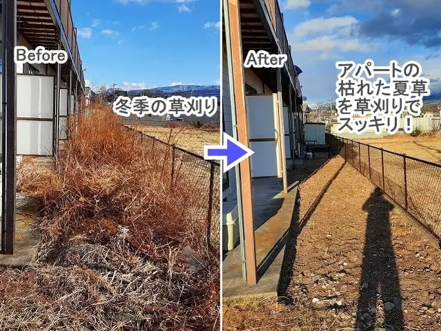 ★年内に草をキレイに！【３連続入賞店★口コミ好評】◆高崎の植木屋★ご予約お早めにサービスの画像