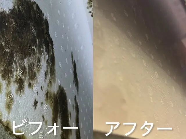業務用エアコンクリーニングサービスの画像