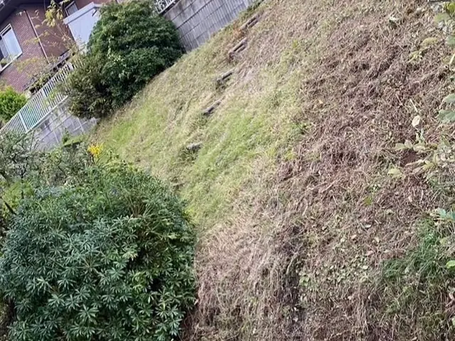 ★夏の期間にオススメ★お庭周りキレイに♪サービスの画像