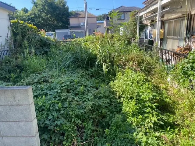 ★夏の期間にオススメ★お庭周りキレイに♪サービスの画像