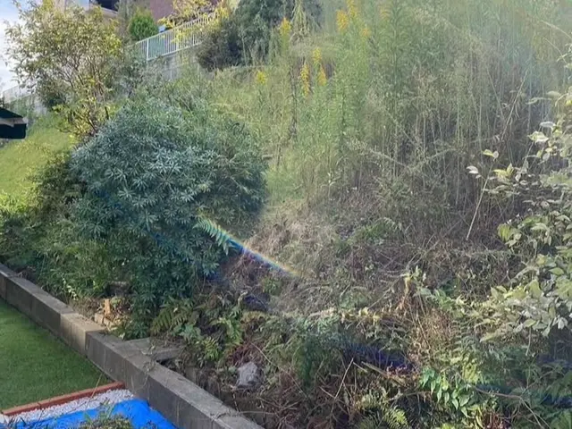 ★夏の期間にオススメ★お庭周りキレイに♪サービスの画像