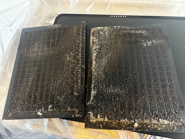 2月末まで2000円OFF（表示価格）、2月後半空きがございます！！サービスの画像