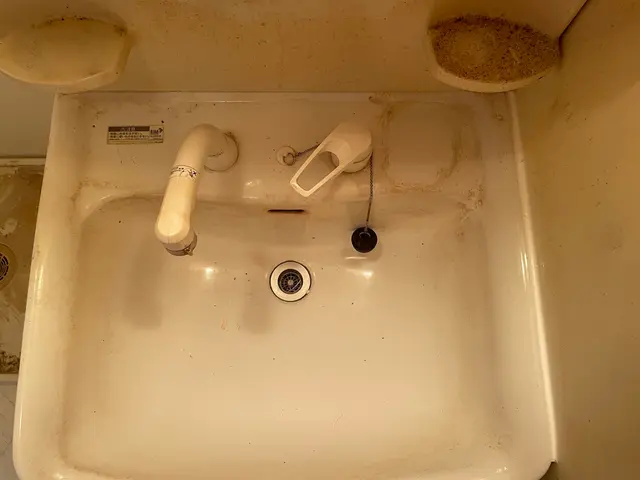 地域最安値！洗面所クリーニング！損害保険加入済みで安心◎サービスの画像