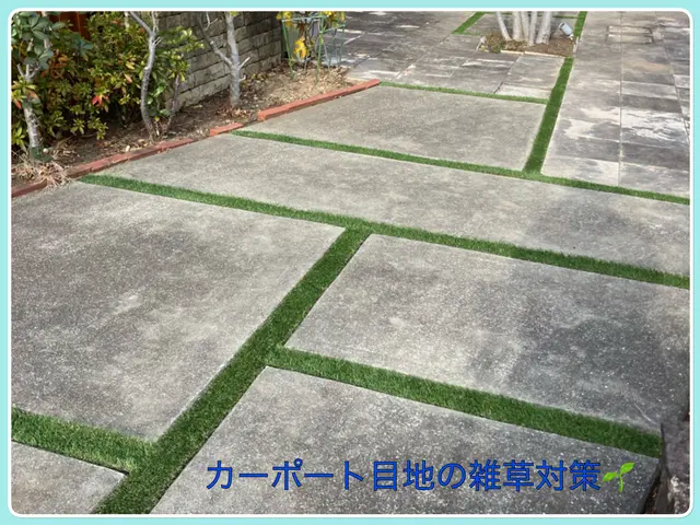 暖かくなる前に雑草対策！16年の経験と一級資格で心地よいお庭をつくりいたしますサービスの画像