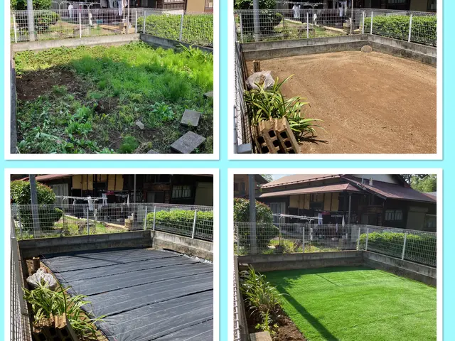 15年の経験と一級資格で心地よいお庭をつくりいたしますサービスの画像