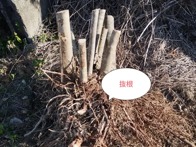 ◆阿南市中心◎地域密着店◎アフターフォローも万全サービスの画像