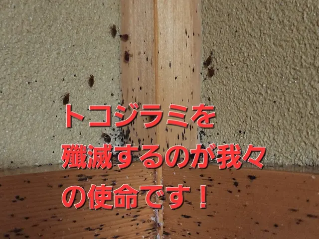 《トコジラミ駆除》において重要なのは【保証日数】ではない！確実に駆除できるかですサービスの画像